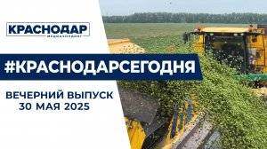 Ликвидация подтоплений в Краснодаре, старт сбора урожая горошка. Новости 30 мая.