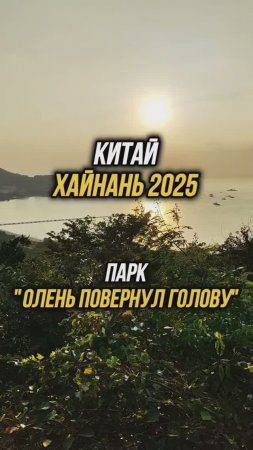 #Хайнань2025 🏝️ Парк "Олень повернул голову" 🌇 Вход бесплатно по паспорту👍 #путешествия #физрукпа