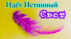 Идёт истинный Свет. 31.05.25г.
