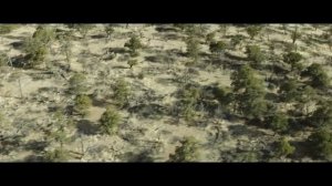 Фильм ОСНОВАНА на Реальных Событиях "Дело Храбрых" 2017