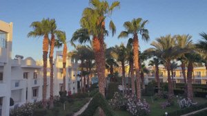Египет. Апрель 2025 из Иркутска в Хургаду.
Отель Мираж(Mirage Bay Resort)