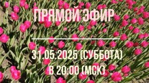 Анонсы эфира 31.05.2025