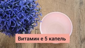 НАНЕСИТЕ на Лицо Перед Сном и Все МОРЩИНЫ Исчезнут! На?