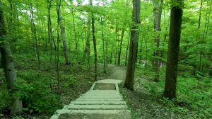 Виртуальная прогулка Видео для тренажеров Национальный парк Каиахога Вэлли в штате Огайо США