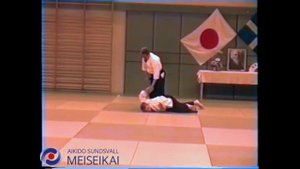 64 Aikido Ai Hanmi Kotegaeshi Nishio Sensei Uppsala 1995