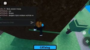 новые коты в найди котят (17)