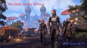 The Elder Scrolls Online -  как оно там...