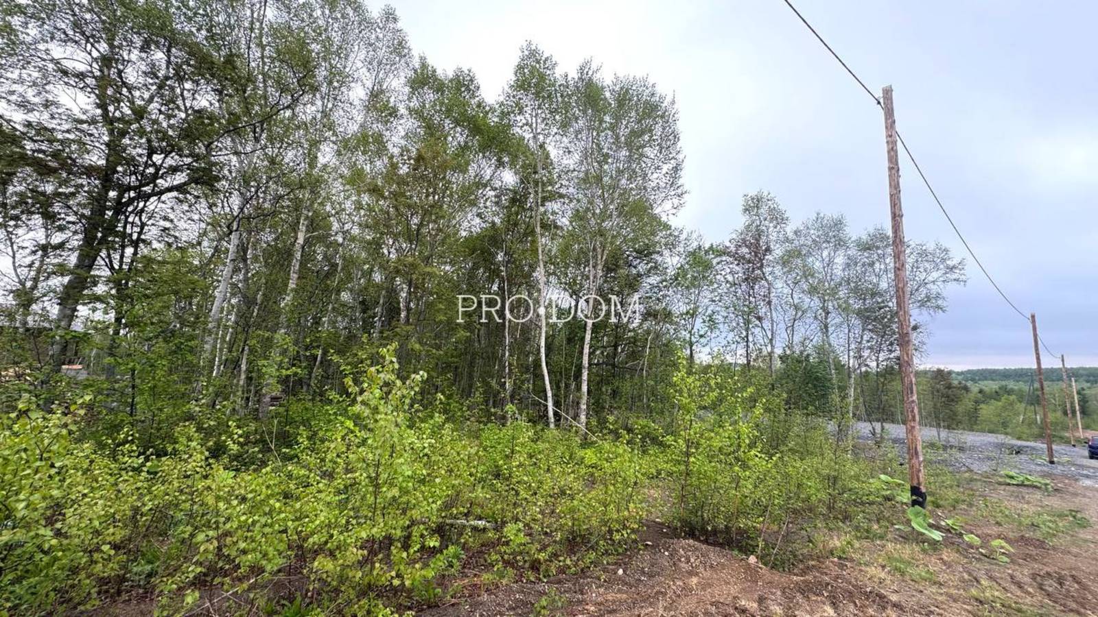 Продаются два смежных участка в СНТ Весточка — площадь 9,5 соток и площадь 10 соток. смотреть онлайн