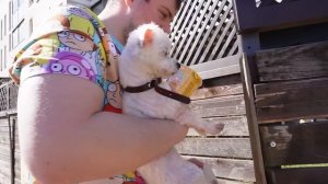 ЧЕЛОВЕК С ПЕРЕВЕРНУТЫМ ЛИЦОМ В РЕАЛЬНОЙ ЖИЗНИ В НАШЕЙ