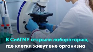 В СибГМУ открыли лабораторию, где клетки живут вне организма