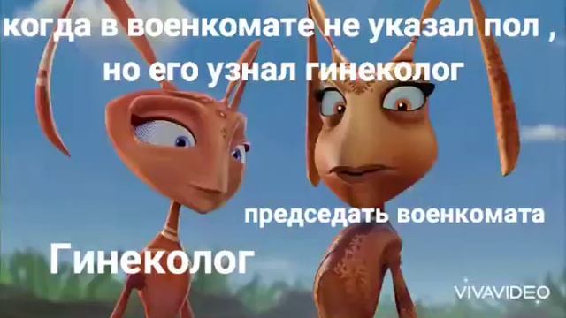 Он мальчик. Гроза Муравьёв мемы смотреть онлайн