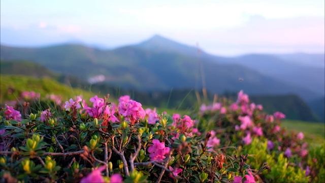 Невероятно красивая! Потрясающая музыка для души! Просто супер! релакс видео # 2 смотреть онлайн