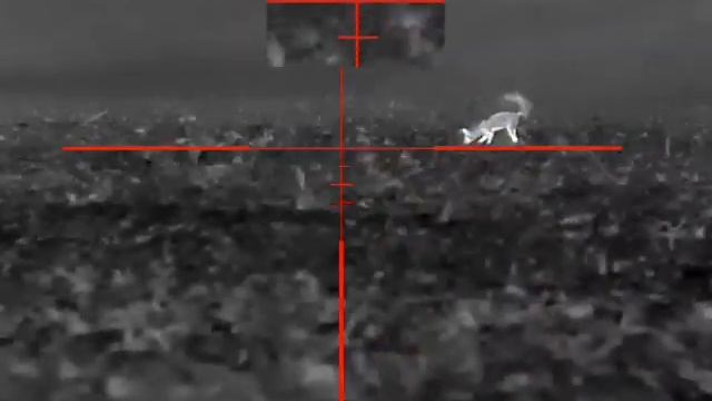 Тепловизионный прицел Guide TR 450 бютжетник за 💯 тр.