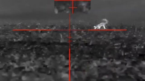 Тепловизионный прицел Guide TR 450 бютжетник за 💯 тр.