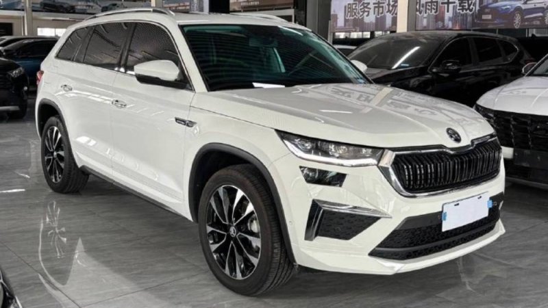 SKODA KODIAQ из Китая 🇨🇳