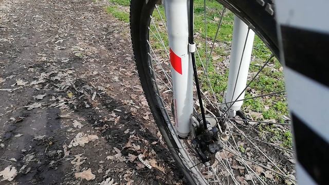 Атмосфера леса 2020 год, весна смотреть онлайн