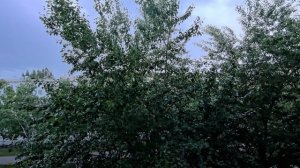 КРАСНЫЙ ПРОСПЕКТ 74