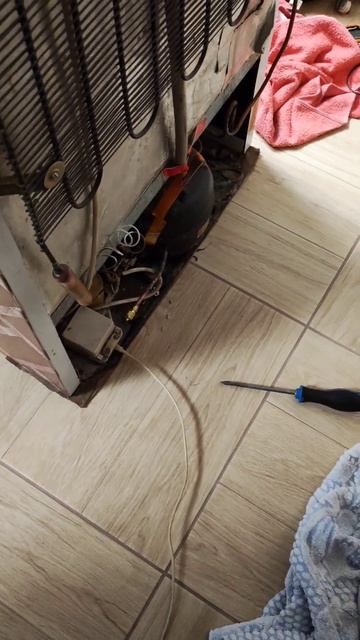 Холодильник Минск 30 лет, каверзно умер компрессор #ста смотреть онлайн