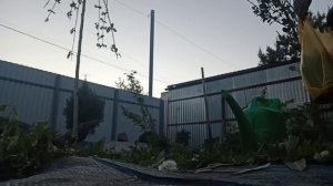 ЗАКУПИЛАСЬ НА РАСПРОДАЖАХ 🛍 САЖАЮ, ЧТО ВЫРАСТИЛА.mp4