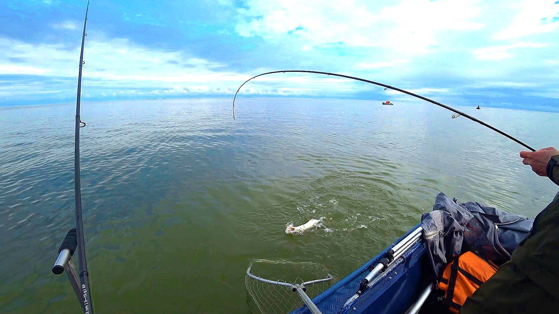 В ДУГУ ПАЛКИ В ТРУХУ ПРИМАНКИ! смотреть онлайн