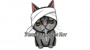 У меня заболел Кот 🐈⬛
