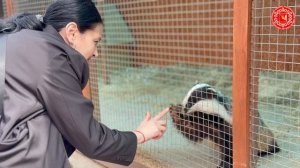 Мероприятие в Ботаническом саду, посвящённое Дню защиты детей. 
31.05.2025 г.