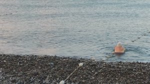 Лазаревское Сочи ШОК покажу всё что скрыто! Есть ли Мазут в море? Набережная Сочи Лазаревское