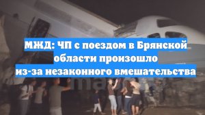 МЖД: ЧП с поездом в Брянской области произошло из-за незаконного вмешательства
