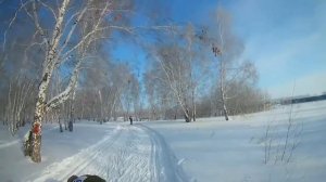 Лыжня 2017