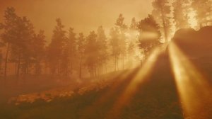 Meditate Like A SAMURAI Relaxing GHOST OF TSUSHIMA Music