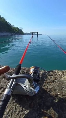 спиннинги море и хорошая погода в Сочи #whynot72 #fishing #рыбалка #сочи #море #настроение #отдых