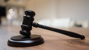 Датчанку будут заочно судить за вторжение в Курскую область