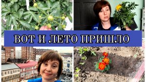 01-06-2025 ВЕСТИ С ПОЛЕЙ🙂МОИ ЦВЕТЫ🌷🥀🪻ТАНЦЫ НА КРЫШЕ💃БАРХАТЦЫ ЗАЦВЕЛИ😁