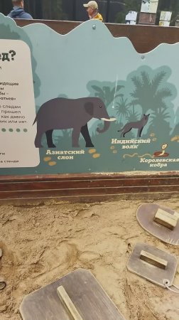 День защиты детей