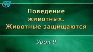 Животные защищаются. Урок 9. Разнообразие защитных приспособлений