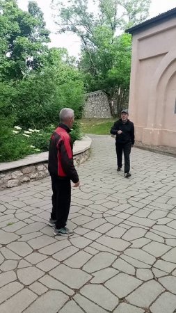 ШколА тайцзи  попробуем Цинь-на.
