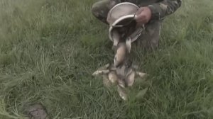 Карась на матчевые удочки!