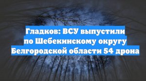 Гладков: ВСУ выпустили по Шебекинскому округу Белгородской области 54 дрона