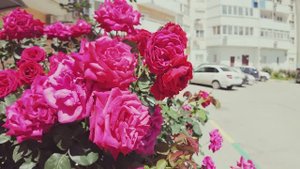 Квартира у моря в г. Новороссийск, Южный район