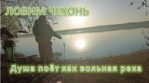 Душа поёт как вольная река. Здесь только Я и Мои друзья!  Ловим чехонь.