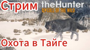 Охота в заказнике Медведь Тайга. CotW