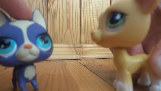 LPS:Agent or love 5 cерия(приезд сестры) смотреть онлайн