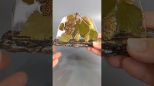 Бруньки с деревом в эпоксидной смоле