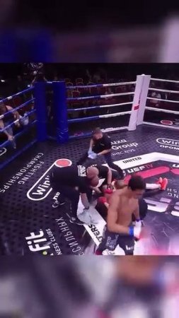 Лучшие нокауты Подпишись и ставь лайк #ufc #mma #youtube #sports #tiktok #shortsvideo #russia #box