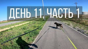 День 11, часть 1