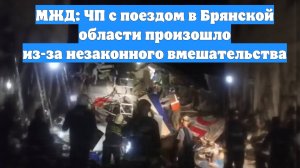 МЖД: ЧП с поездом в Брянской области произошло из-за незаконного вмешательства