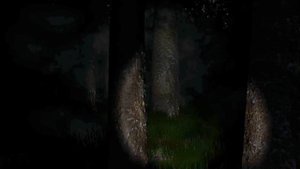 СЛЕНДЕР ИЗ 2013 ВЕРНУЛСЯ! - Slender: The Eight Pages прохождение