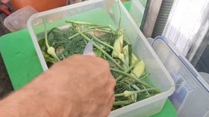 Солим огурцы | Дачные рецепты | папин рецепт по солениям | вкусный и просто рецепт