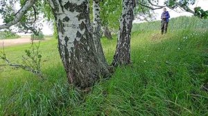 В предчувствии ЛЕТА