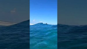 Жаркий сёрфинг на Мальдивах с Шака Клан